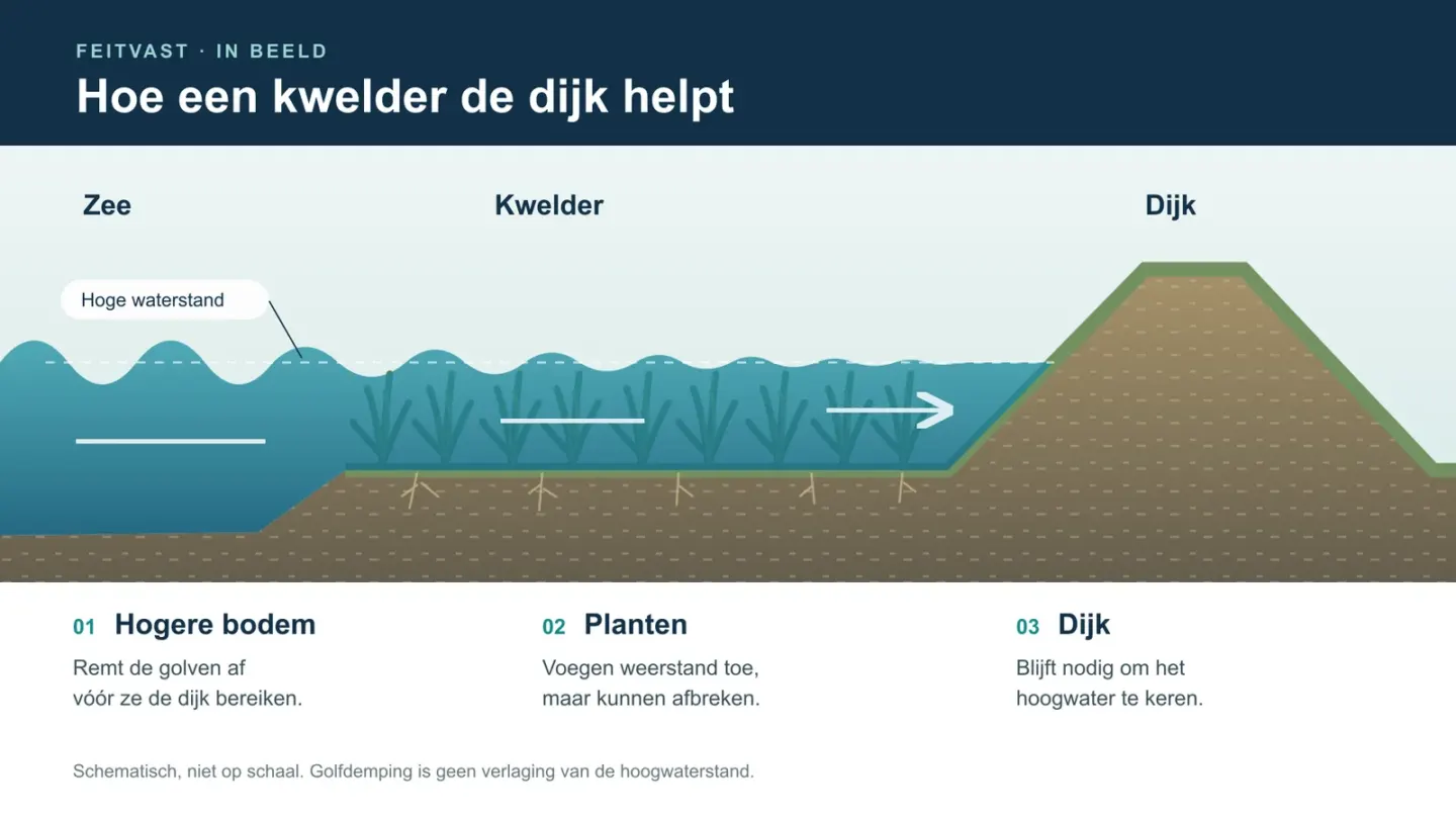 Schematische doorsnede van zee, verhoogde kweldergrond met planten en een dijk: bodem en planten dempen golven, de dijk keert hoogwater