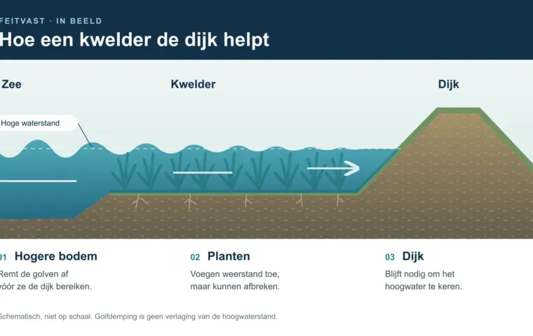 Schematische doorsnede van zee, verhoogde kweldergrond met planten en een dijk: bodem en planten dempen golven, de dijk keert hoogwater