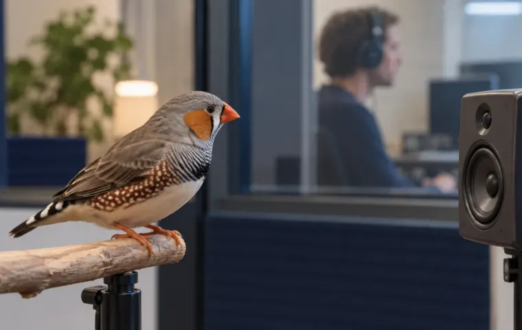 Een zebravink luistert in een geluidslaboratorium naar een luidspreker, met op de achtergrond een mens met een koptelefoon.
